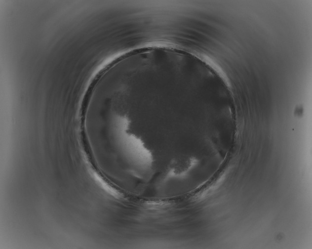 X0000092211037200709281019