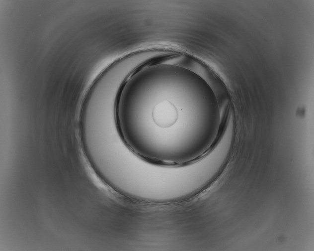 X0000092211038200709281019