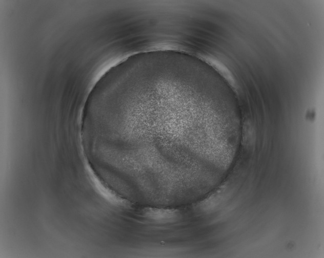 X0000092211039200709281019