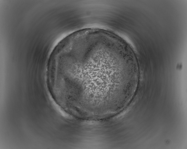 X0000092211040200709281019