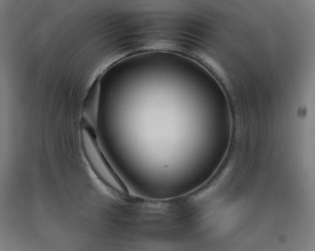 X0000092211041200709281019