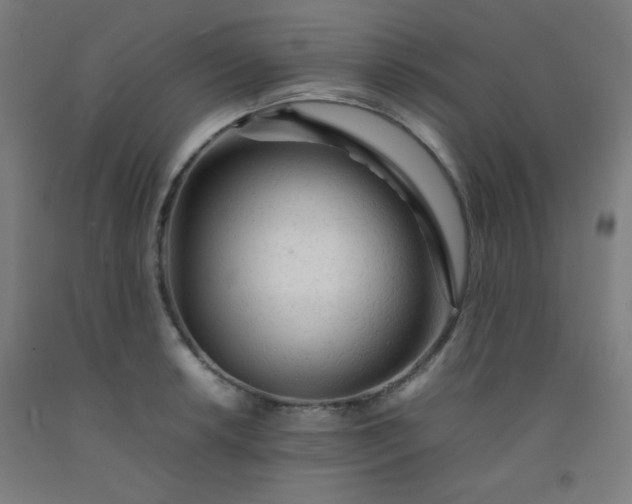 X0000092211042200709281019