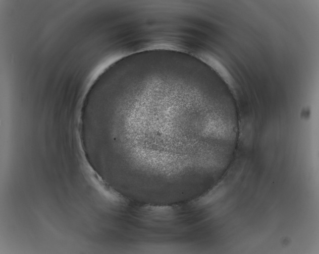 X0000092211043200709281019