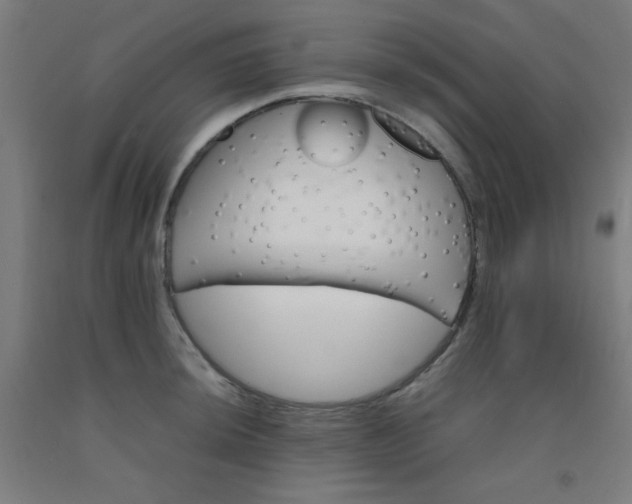 X0000092211044200709281019