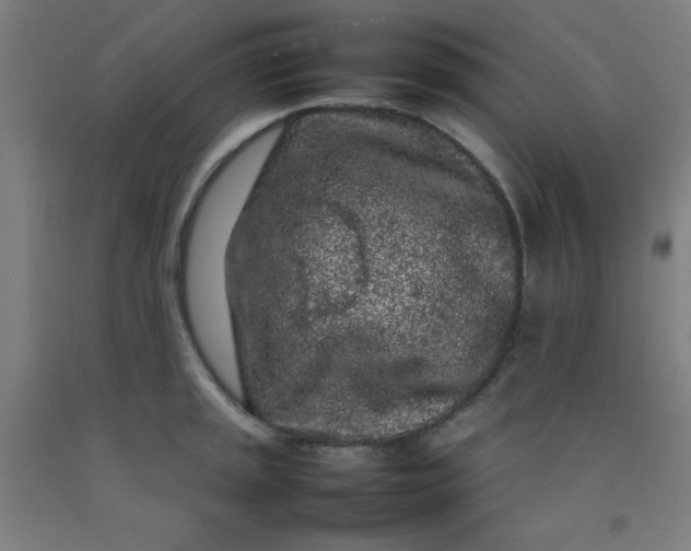 X0000092211045200709281019