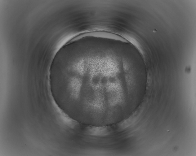 X0000092211047200709281019