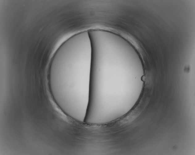 X0000092211048200709281019