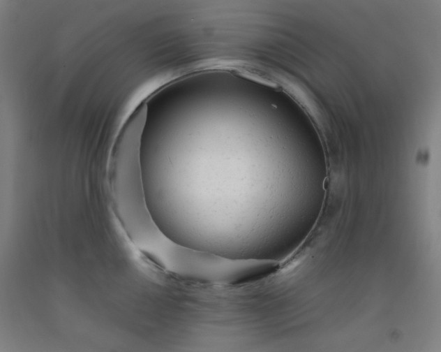 X0000092211050200709281019