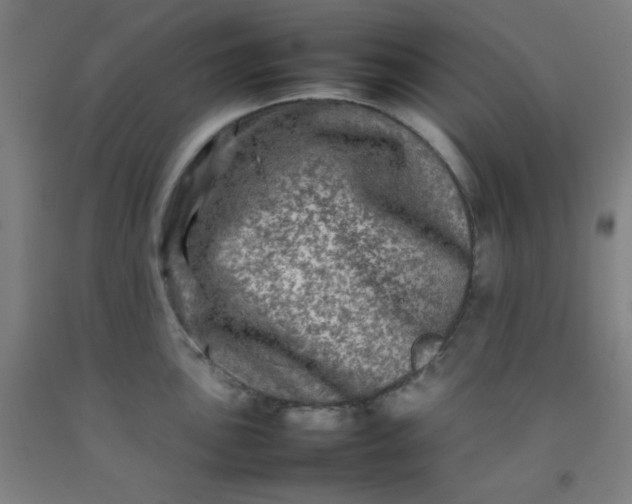 X0000092211051200709281019