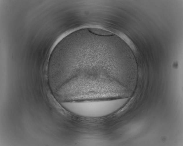 X0000092211052200709281019