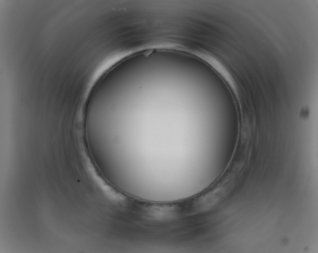 X0000092211053200709281019