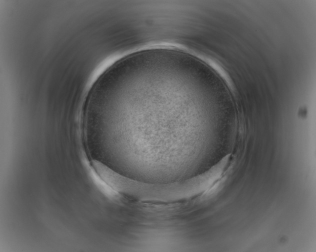 X0000092211054200709281019