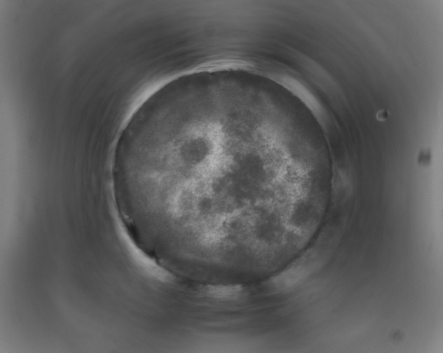 X0000092211055200709281019