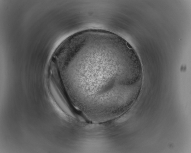 X0000092211056200709281019