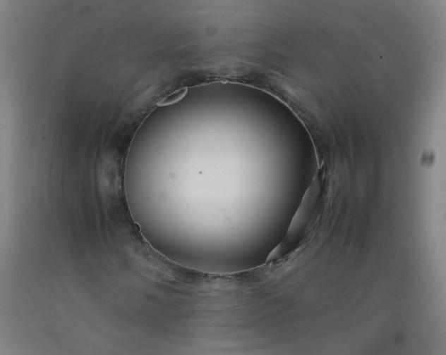 X0000092211058200709281018