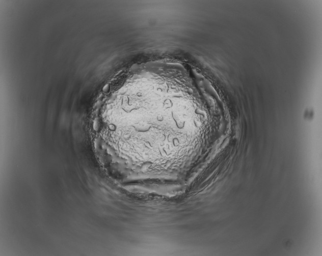 X0000092211059200709281018