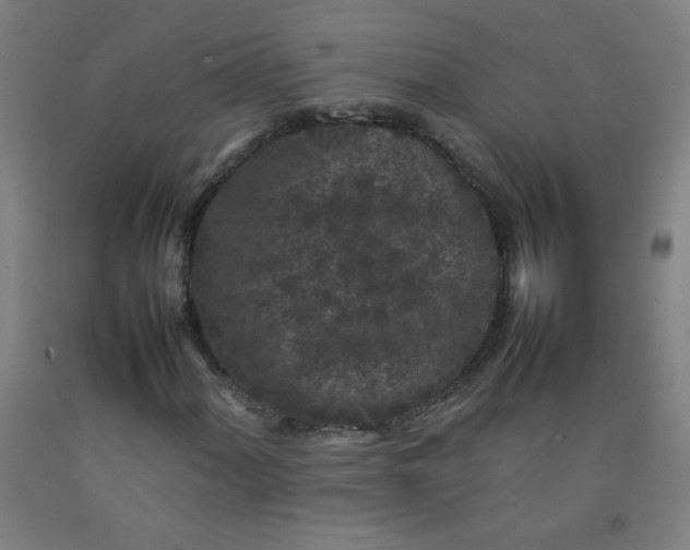 X0000092211060200709281018