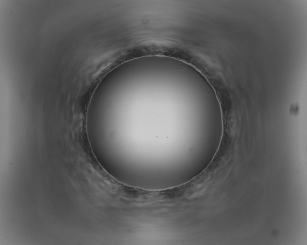 X0000092211061200709281018