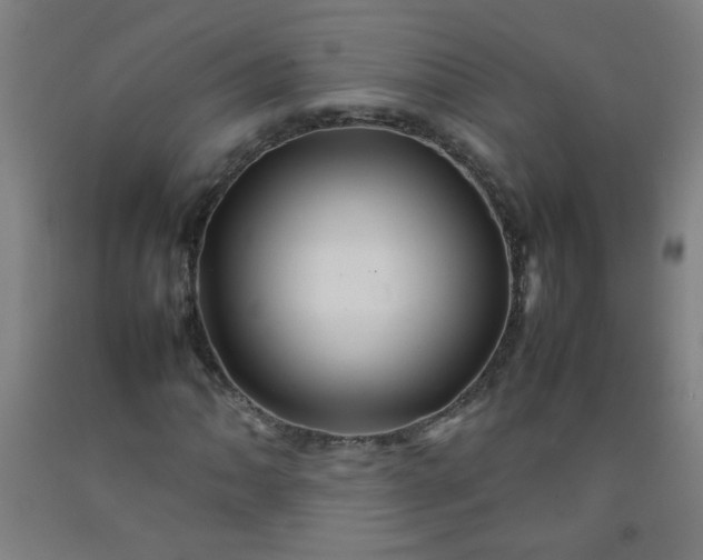 X0000092211062200709281018