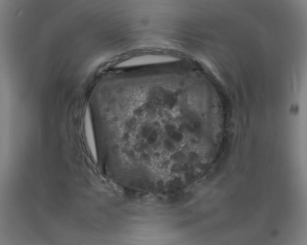 X0000092211063200709281018