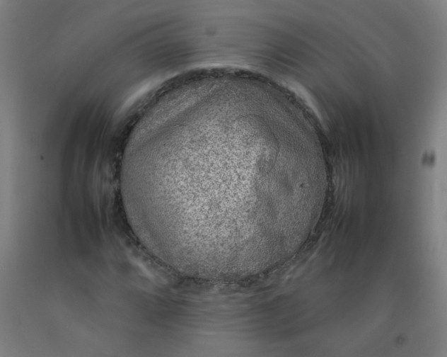 X0000092211064200709281018