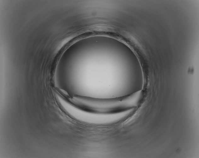 X0000092211065200709281018