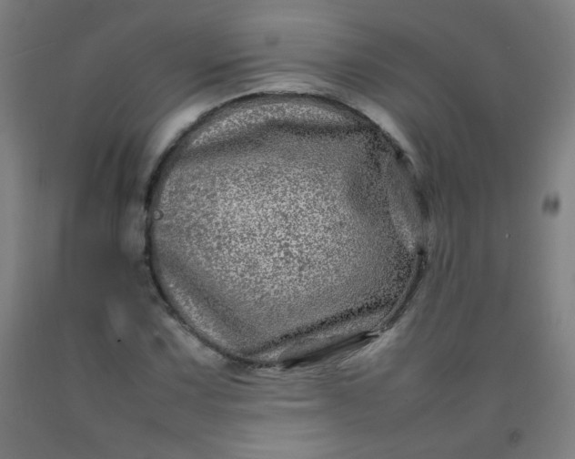 X0000092211067200709281018