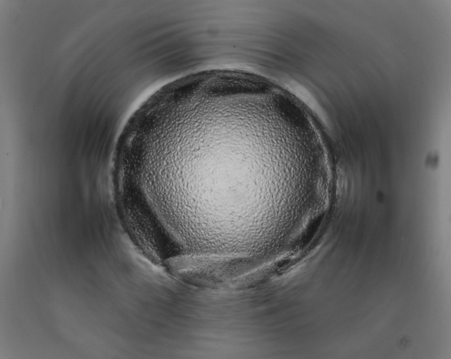 X0000092211068200709281018