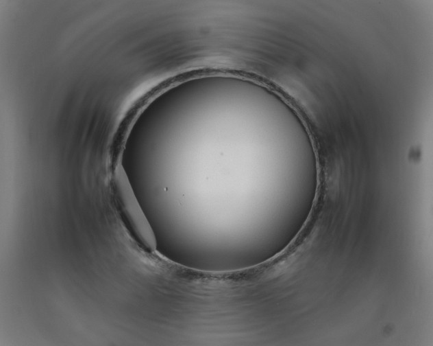 X0000092211070200709281018