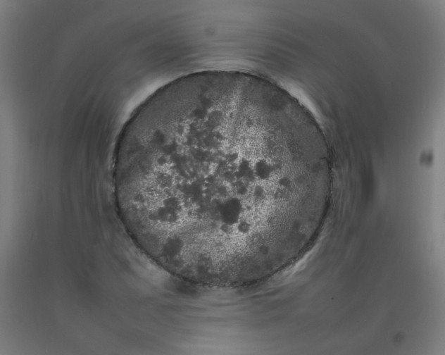 X0000092211071200709281018