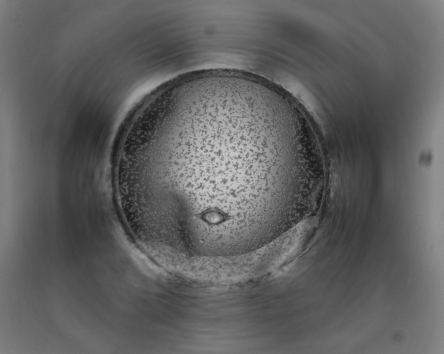 X0000092211072200709281018