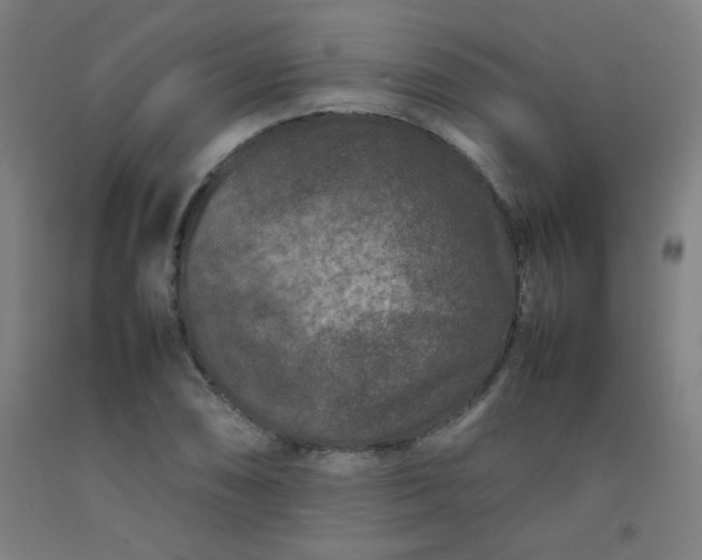 X0000092211074200709281018