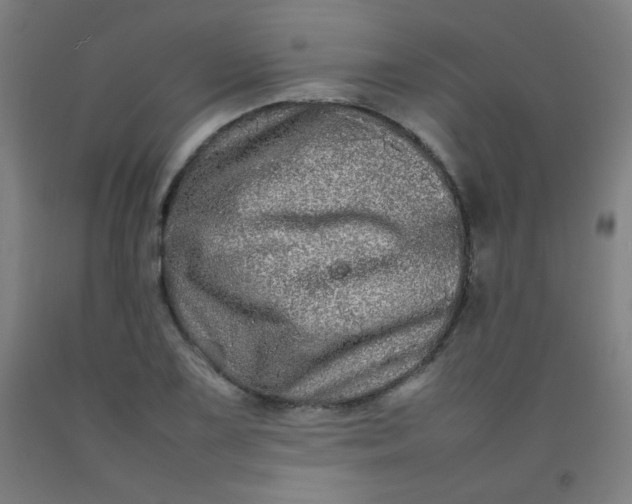 X0000092211075200709281018