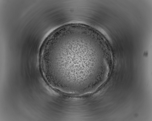 X0000092211076200709281018