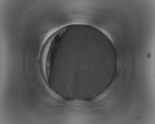 X0000092211077200709281018