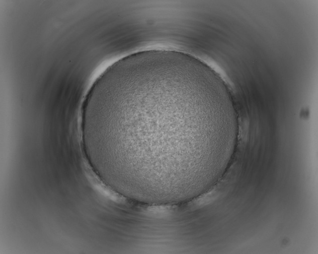 X0000092211078200709281018