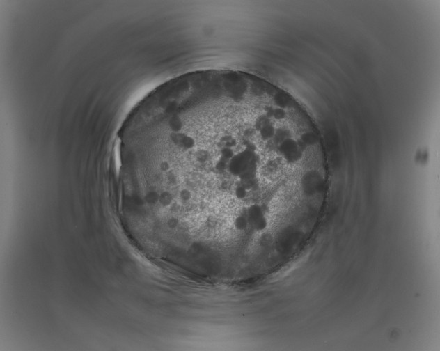 X0000092211079200709281018