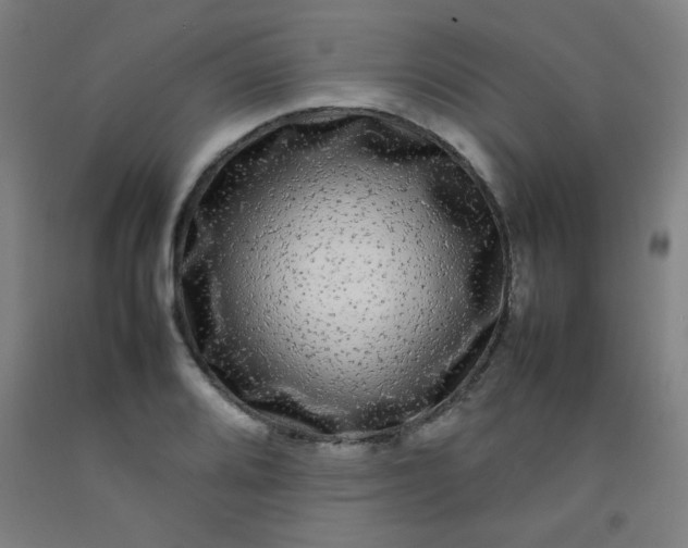 X0000092211080200709281018