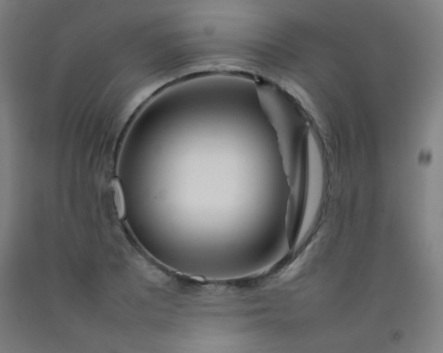 X0000092211081200709281018