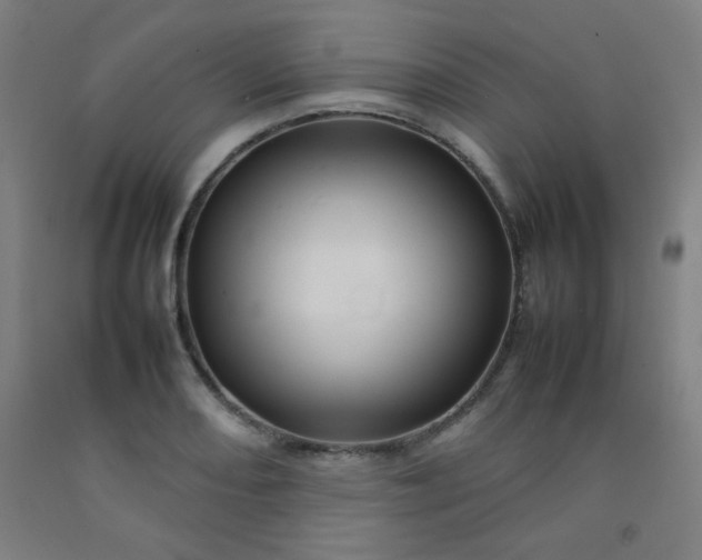 X0000092211082200709281018