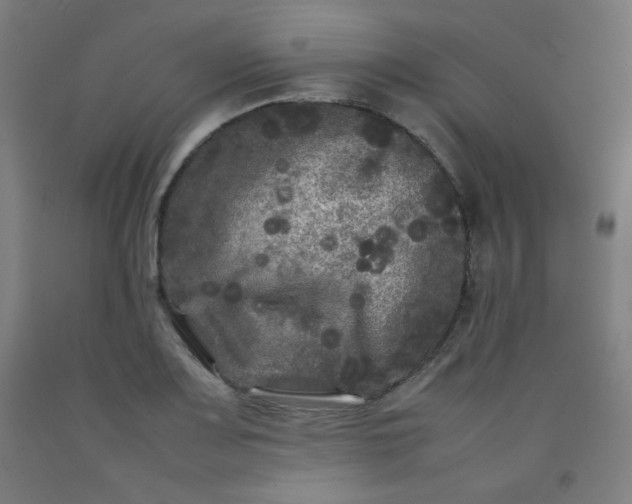 X0000092211083200709281018