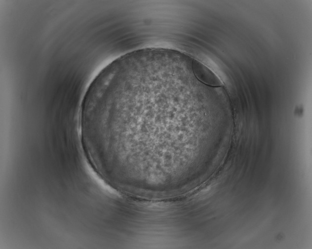 X0000092211084200709281018