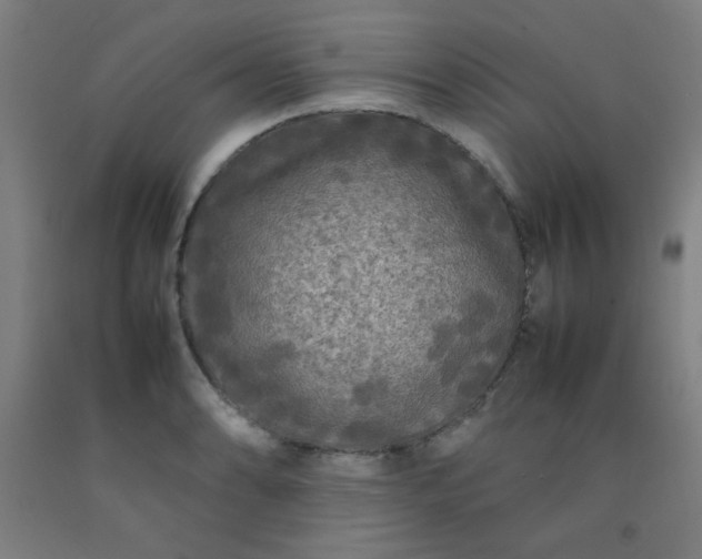 X0000092211086200709281018