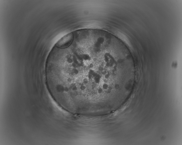 X0000092211087200709281018