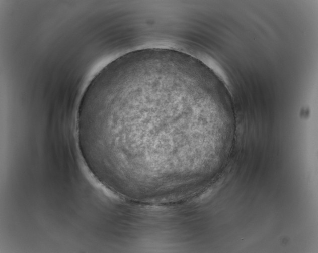 X0000092211088200709281018