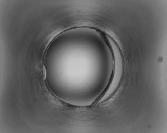 X0000092211089200709281018