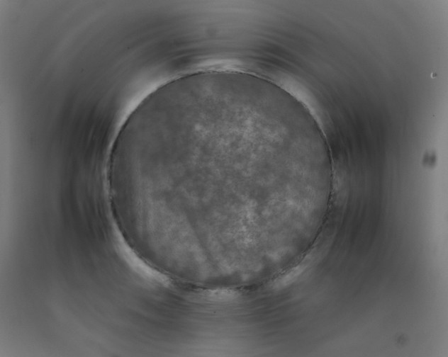 X0000092211090200709281018