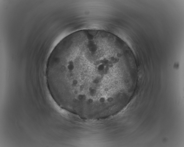 X0000092211091200709281018