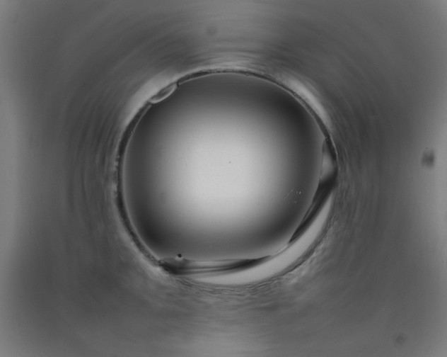 X0000092211093200709281018