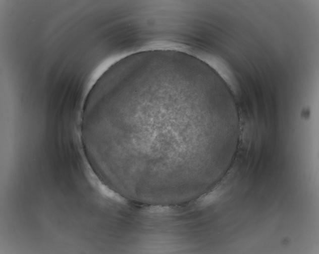 X0000092211094200709281018